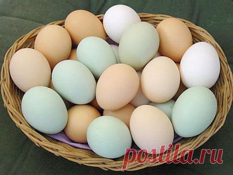 Куриные яйца