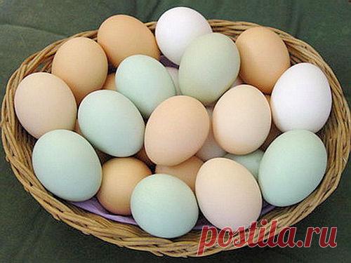 Куриные яйца