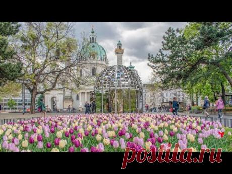 ОЧЕНЬ КРАСИВАЯ МУЗЫКА ЛЮБВИ! Романтическая любимая музыка, она Невероятно Чарующая! Music 2024