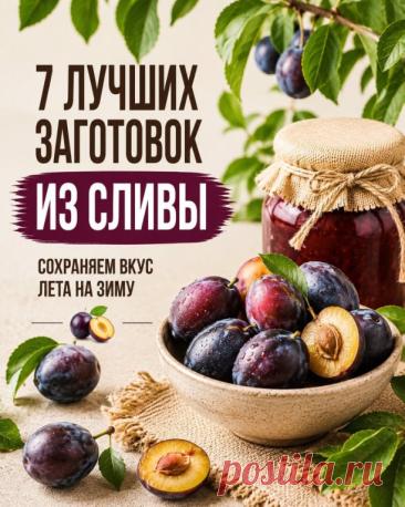 7 ЛУЧШИХ ЗАГОТОВОК ИЗ СЛИВЫ