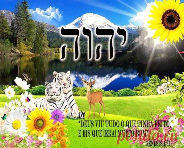 (20+) Facebook