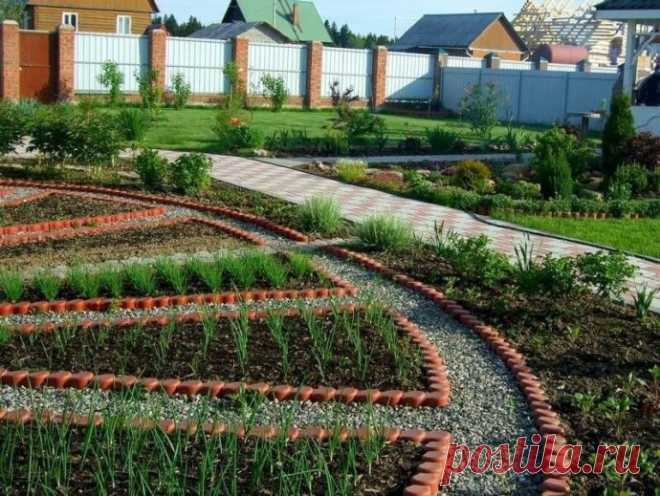 ​Как огород превратить в прекрасный сад