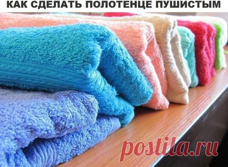Пожалуй, большинство хозяек сталкивалось с проблемой, что если купить мягкое и пушистое махровое полотенце, то после нескольких стирок (а часто и после первой же) получаешь довольно жесткое махровое полотенце, совсем не такое, которым оно казалось в магазине. Как это исправить?
1. Изделия из махры (халаты и полотенца) не очень любят стирку порошками. Они станут нежными, если вы будете использовать жидкие моющие средства.
2. Если все же стирка проводится обычным порошком, т...