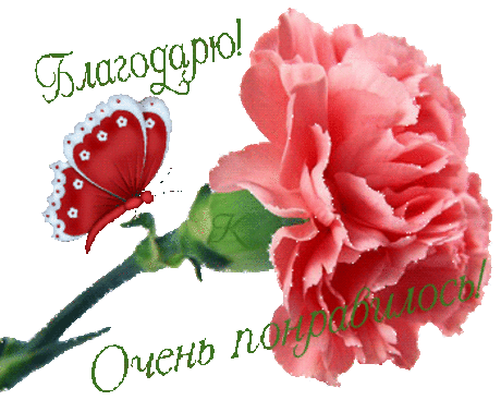 Творог долгожителей.