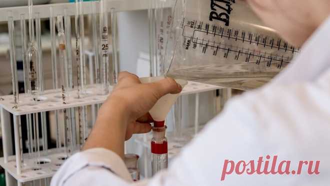 Мочевая кислота в крови: причины повышения, методы лечения, профилактика