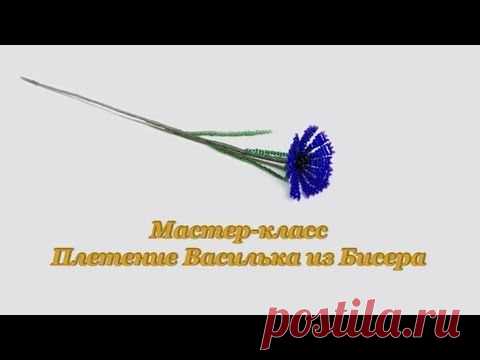 Мастер класс "Плетение Василька из Бисера" | Вышивка бисером и не только