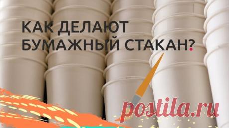 Бумажные стаканы и экология: мифы и реальность переработки