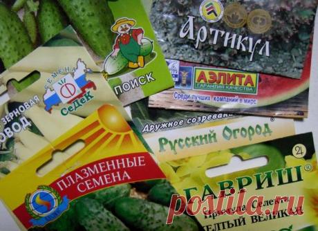 Семена: 10 самых популярных производителей семян