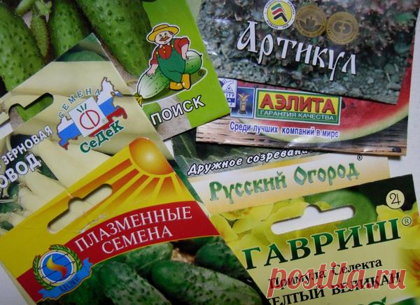 Семена: 10 самых популярных производителей семян