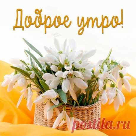 'весенняя открытка с добрым утром - Поиск в Google Весенняя открытка «С добрым утром!»
Концепция и дизайн

Основные элементы оформления:

    Цветовая гамма: пастельные оттенки (нежно-голубой, розовый, салатовый)