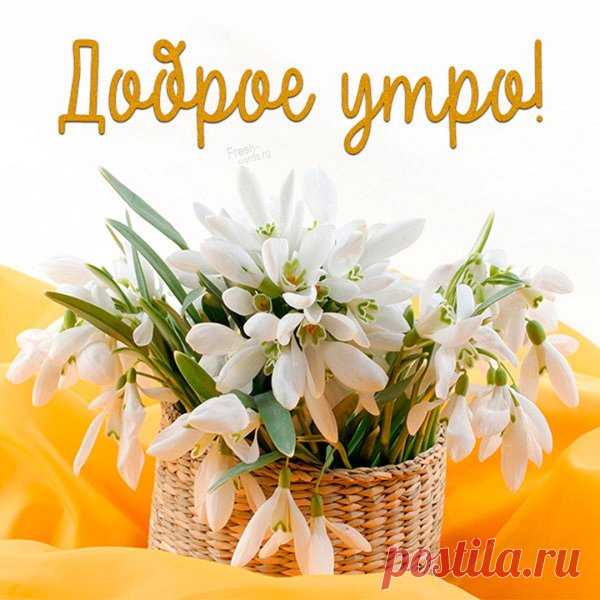 'весенняя открытка с добрым утром - Поиск в Google Весенняя открытка «С добрым утром!»
Концепция и дизайн

Основные элементы оформления:

    Цветовая гамма: пастельные оттенки (нежно-голубой, розовый, салатовый)