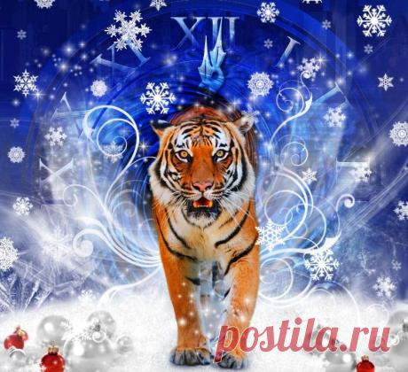 Приметы на Новый год 2022: как задобрить Тигра:
Почему невозможно задобрить Тигра, не вернув все долги. Что сулит, если на Новый год оставить дом захламленным, неубранным. К чему ставить искусственную елку вместо живой, и другие 15 примет и поверий