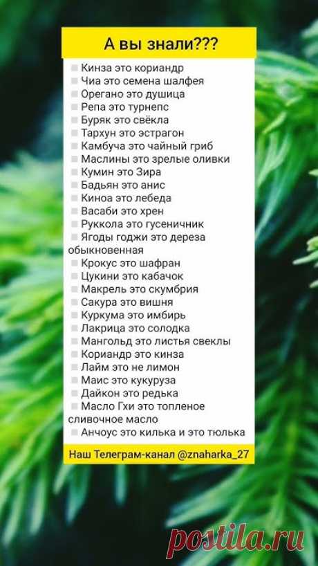 А вы знали? #рецепты #полезныесоветы #куркума #семеначиа #солодка