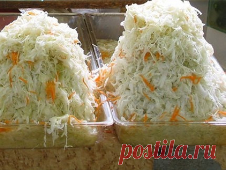 КВАШЕНАЯ КАПУСТА КАК НА РЫНКЕ, ХРУСТЯЩАЯ, ВКУСНАЯ

Этот рецепт настоящей квашеной капусты открыла моей бабушке ее старая подруга, которая уже более 20 лет торгует солениями на рынке и базаре. Обычно секреты своих рецептов как квасить капусту - продавцы никогда не рассказывают, т.к., квашеная капуста с яблоками, огурчики, помидорчики и прочие соления приносят неплохой доход.
Показать полностью...