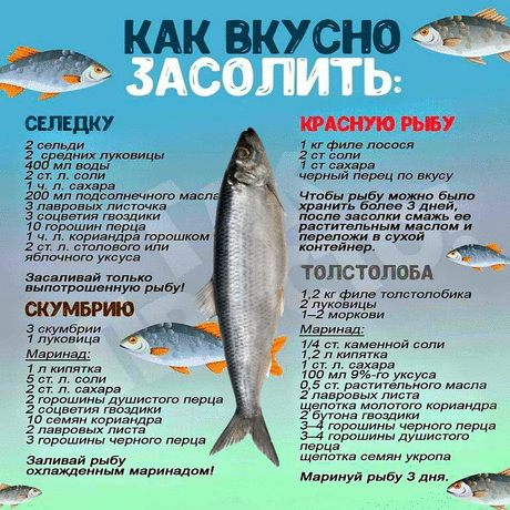 На заметку хозяюшкам