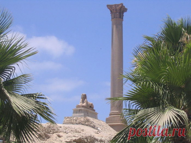 Александрийская библиотека: античная сокровищница мудрости, уничтоженная по человеческой глупости