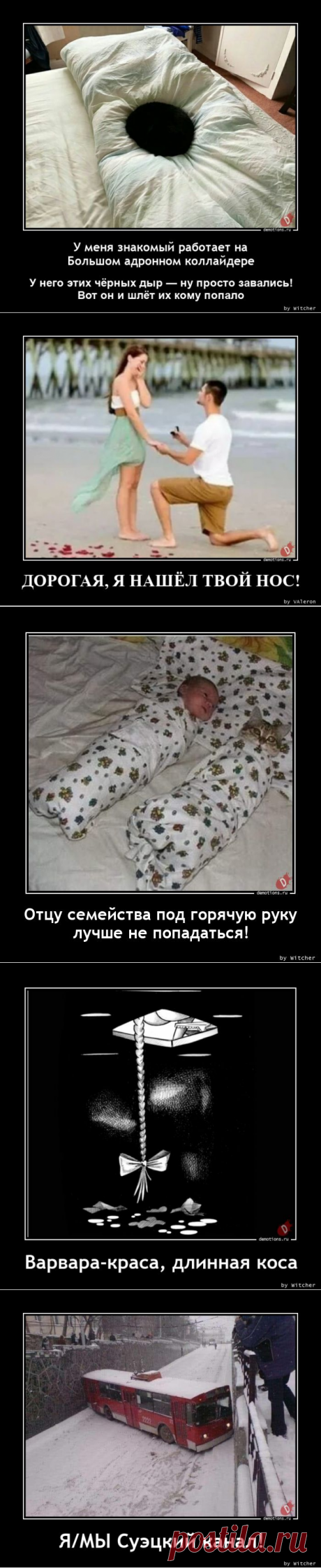 Демотиваторы-263