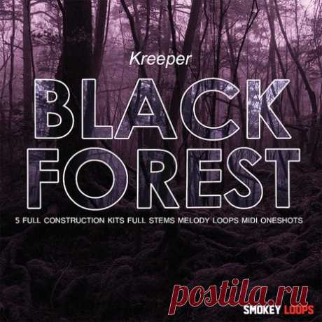 Smokey Loops Black Forest WAV MiDi  | 377MB
'Black Forest' is a huge collection with versatile sounds, dark melodies and hard-hitting bass. You will find Construction Kits, samples &amp; loops, MIDI and one-shots. The MIDI files are included for producers who like to tweak their mixes to perfection and for manipulate sound to your liking.

DOWNLOAD AT:

https://audioclub.store/uncategorized/sl-black-forest-wav-midi/