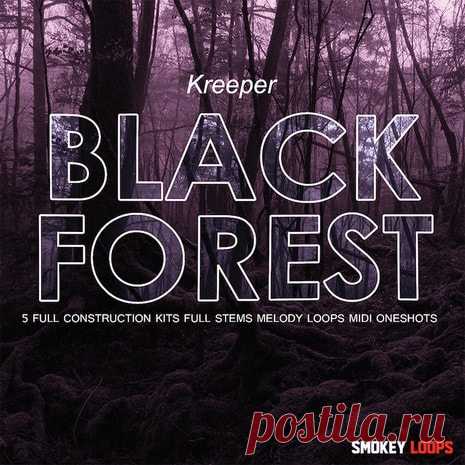 Smokey Loops Black Forest WAV MiDi  | 377MB
'Black Forest' is a huge collection with versatile sounds, dark melodies and hard-hitting bass. You will find Construction Kits, samples & loops, MIDI and one-shots. The MIDI files are included for producers who like to tweak their mixes to perfection and for manipulate sound to your liking.

DOWNLOAD AT:

https://audioclub.store/uncategorized/sl-black-forest-wav-midi/