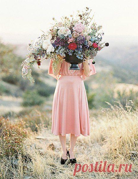 Уклоняйся от зла и делай добро; ищи мира и стремись к нему.
Библия, 1-Пет.3:11