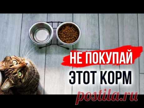 Как за 5 секунд отличить хороший корм для кошек от плохого