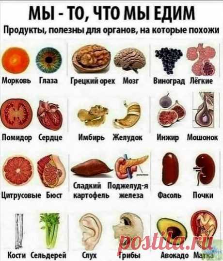 Мы то,что едим