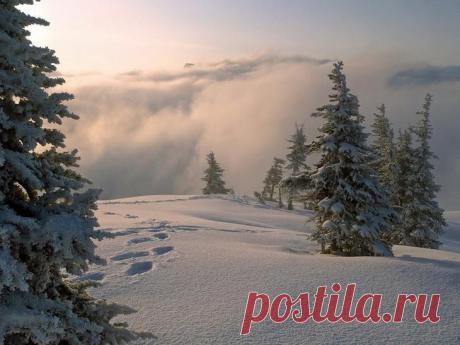 Красивые зимние фотографии