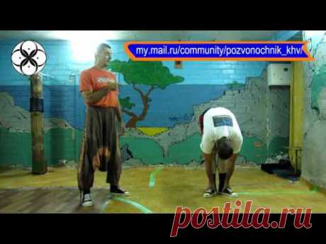 Поясница: "Собака виляет+смотрит на хвост"("Катящийся камень"/2016)