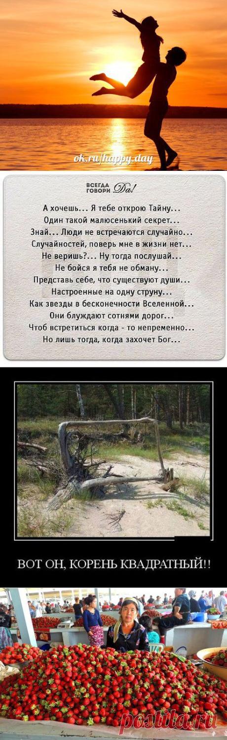 (1) Одноклассники