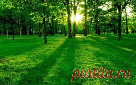 Фото группы | Фотографии ВСЕ ДЛЯ ДУШИ! | 10507 фото | Группы Мой Мир