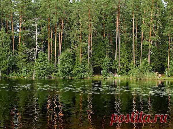 Мой Мир@Mail.Ru