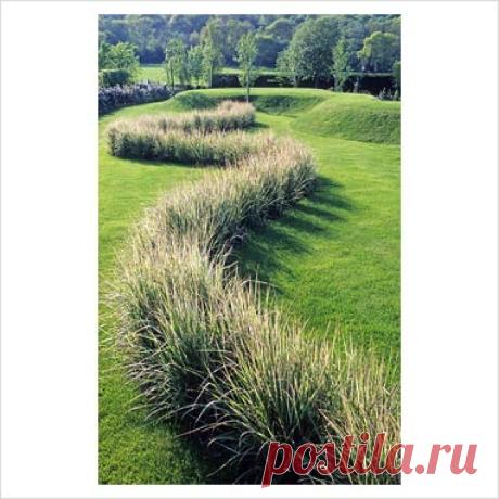 Line of ornamental grass Calamagrostis 'Overdam' and turf earthworks - The Wrekin Garden, Shropshire