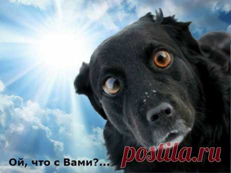 Ой, что с Вами?