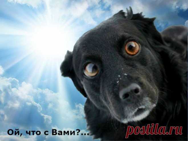 Ой, что с Вами?