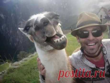 ХИХАНЬКИ _ ХАХАНЬКИ