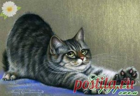 Сундучок схем - Схемы