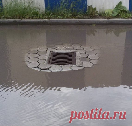 Ливневка, обладающая терпением 😄