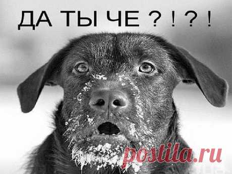 ПЯТОЧНАЯ ШПОРА. ЧТО ЭТО ? НАРОДНЫЕ СРЕДСТВА. УПРАЖНЕНИЯ. ФИЗИОТЕРАПИЯ