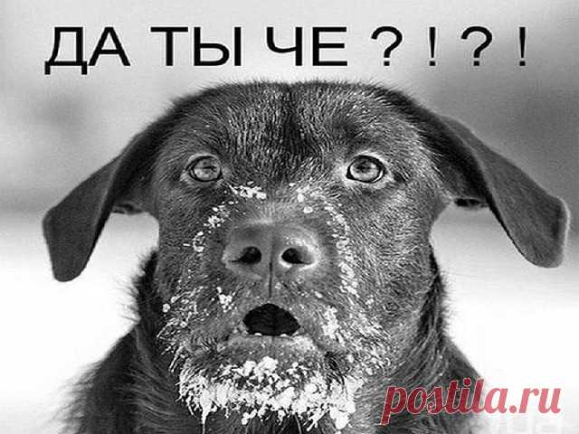 ПЯТОЧНАЯ ШПОРА. ЧТО ЭТО ? НАРОДНЫЕ СРЕДСТВА. УПРАЖНЕНИЯ. ФИЗИОТЕРАПИЯ