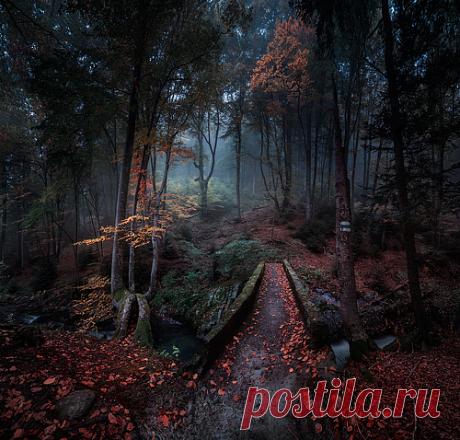 35PHOTO.Store - Статус заказа #819