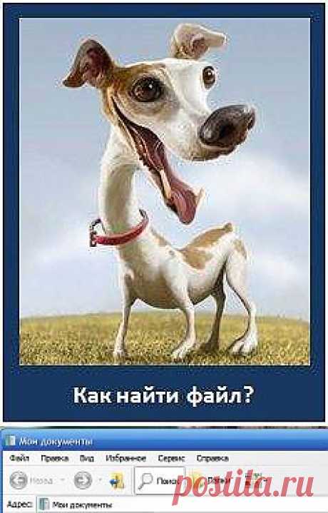 Как найти файл в Windows XP | Мой друг ПК