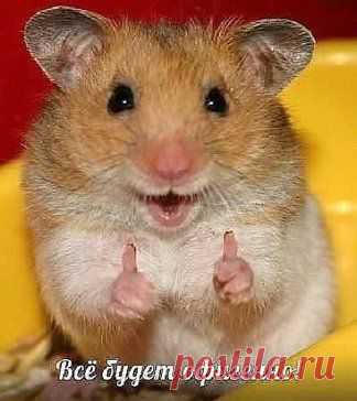 ВНИМАНИЕ!!!! УНИКАЛЬНЫЙ ПРОЕКТ В КОТОРОМ СИСТЕМА САМА ПОСТАВИТ ВАМ РЕФОВ! НА САЙТЕ ПРОЕКТА БЕСПЛАТНО ВЫ МОЖЕТЕ ПОСМОТРЕТЬ ПРЕЗЕНТАЦИЮ РЕГИСТРИРУЙСЯ СКОРЕЕ!!!