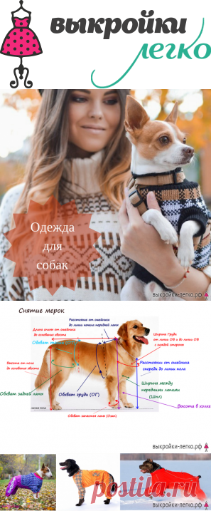 Базовая выкройка для собак | Готовые выкройки и уроки по построению на Выкройки-Легко.рф