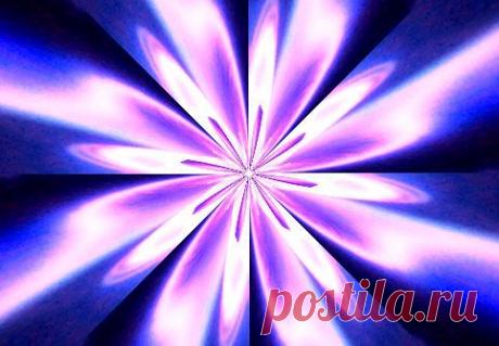 Сорван цветок (Елена Светова) / Стихи.ру - национальный сервер современной поэзии