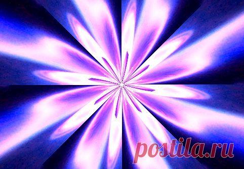 Сорван цветок (Елена Светова) / Стихи.ру - национальный сервер современной поэзии