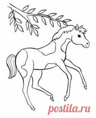 At boyama sayfası, Horse coloring pages, Página para colorear de caballo, Лошадь раскраски страницу.