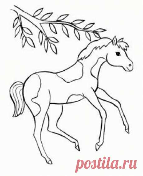 At boyama sayfası, Horse coloring pages, Página para colorear de caballo, Лошадь раскраски страницу.