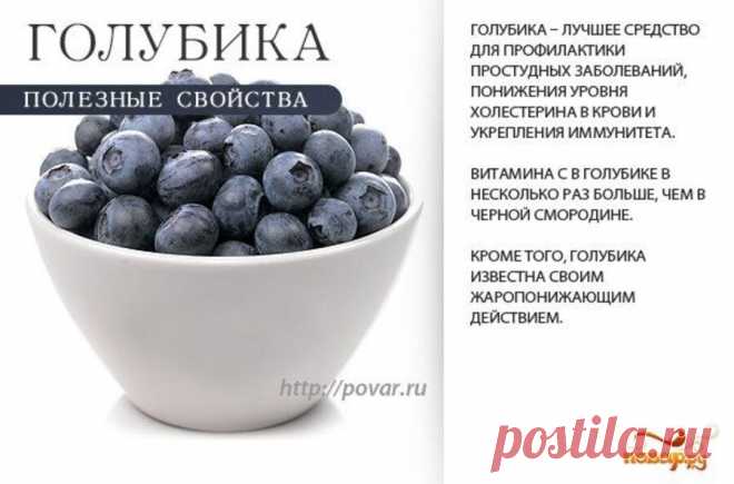 Голубика полезные свойства