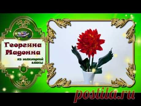 Георгин Мадонна из полимерной глины