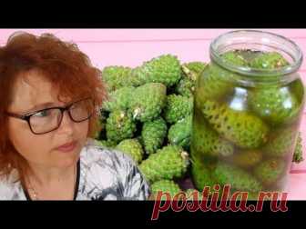Вся правда про сосновые шишки, удивившая врачей